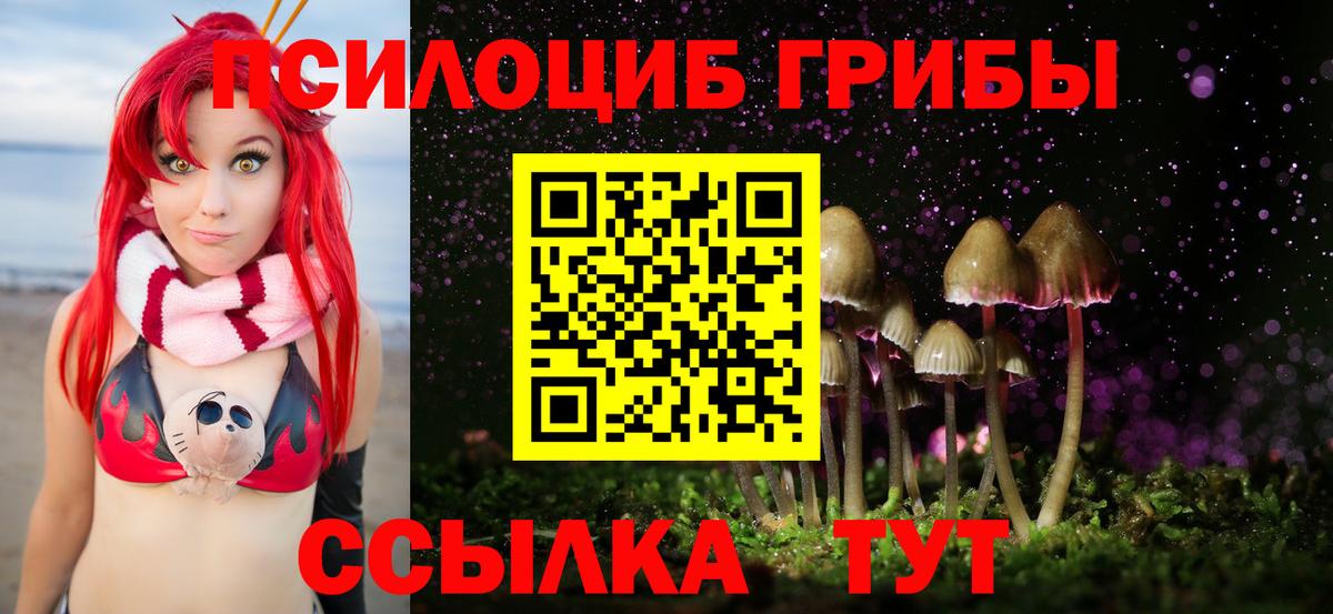 Галлюциногенные грибы прущие грибы  Галлюциногенные грибы GOLDEN TEACHER  магазин    Вход с VPN  Тутаев 